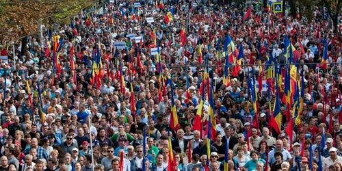 protest dodon usatii