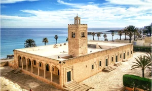 OP 04 06 2024 (1) png