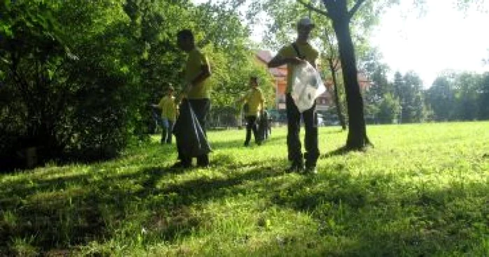 Sibiu: Acţiune de ecologizare în Sub Arini