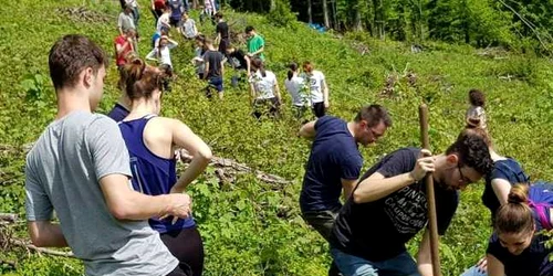 calarassi ecoprovocarea