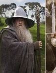 Gandalf jpg