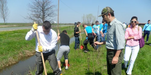 PLANTARE PUIETI SM