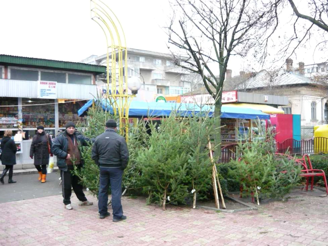 brazi tulcea