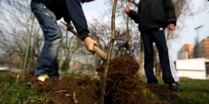 Peste 600 de arbori si arbusti vor fi plantati duminica in Parcul Lunca Florilor din Sectorul 2