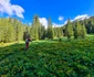 retezat poiana pelegii lacul bucura foto marius turc