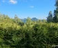 Satul Tomnatec din Hunedoara Foto Daniel Guță ADEVĂRUL (3) jpg