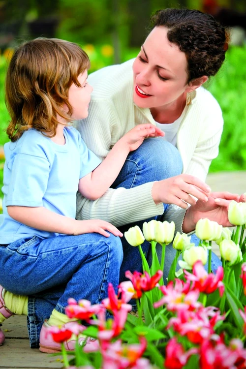 1 46564 original jpg jpeg