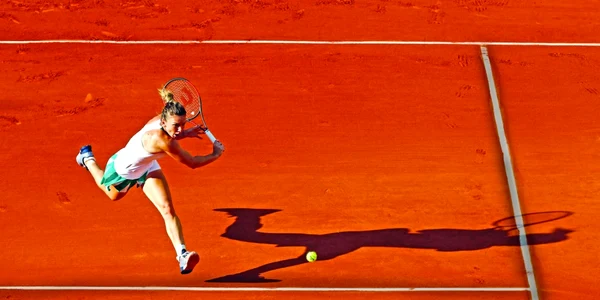 halep