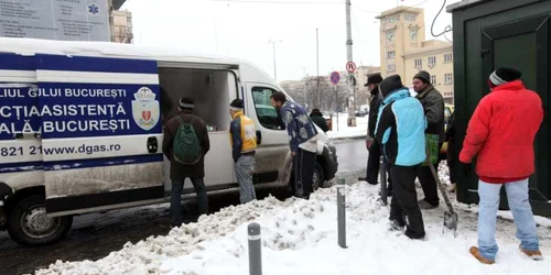 boschetari bucuresti