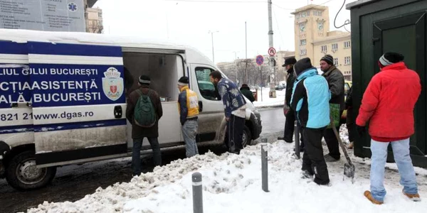 boschetari bucuresti