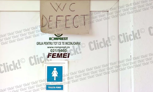 31 ianuarie 2013: Reporterii Click!  au găsit o mulţime  de semnalizatoare  căzute pe marginea  autostrăzii( Fotografii: Roberto Sălceanu ) jpeg