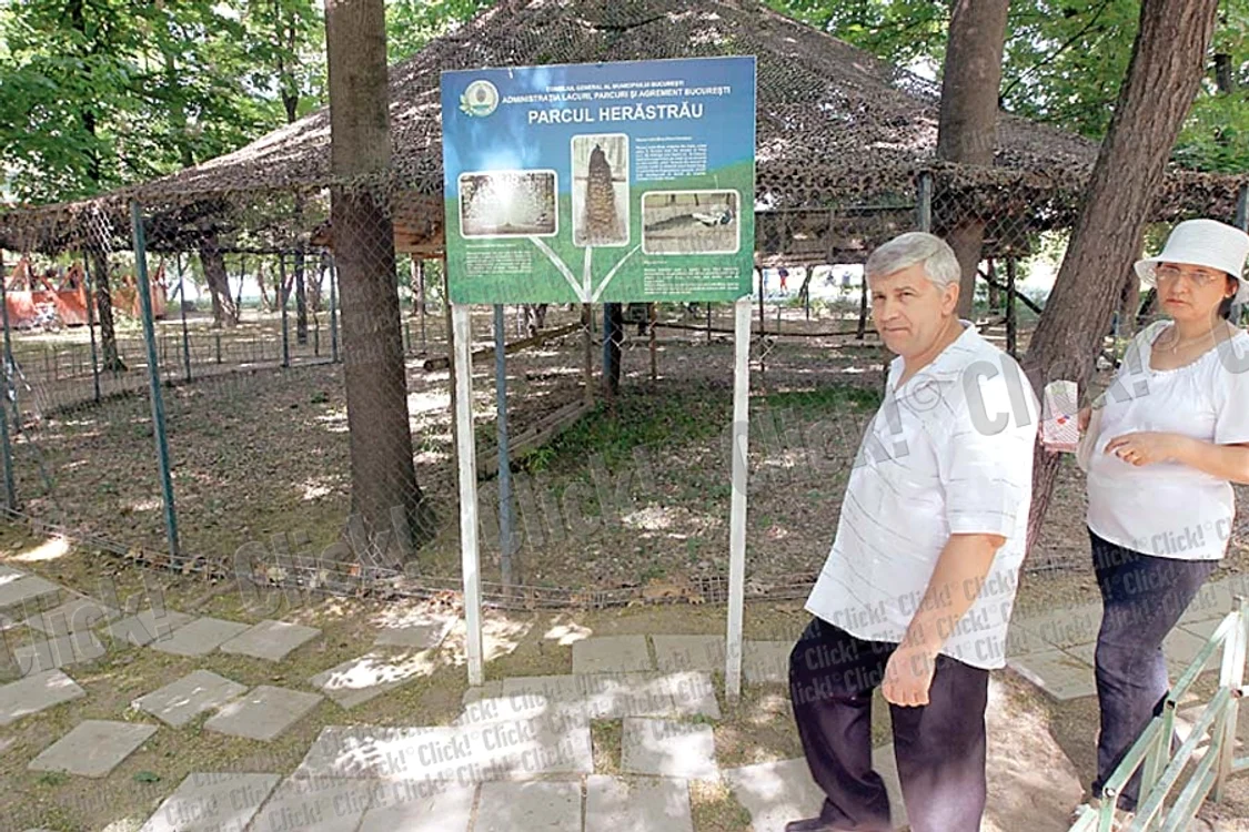 Andrei Gavrilă, 7 ani (Fotografii: Sever Gheorghe, Dorin Constanda)