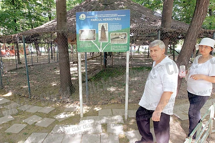 Andrei Gavrilă, 7 ani (Fotografii: Sever Gheorghe, Dorin Constanda)