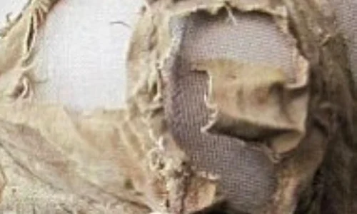 Descoperirea care schimbă istoria modei jpeg