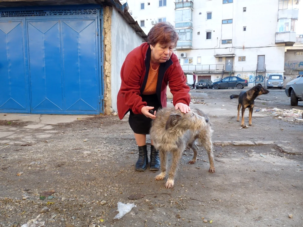 Femeia se bucură că unul dintre câinii otrăviţi a putut fi salvat