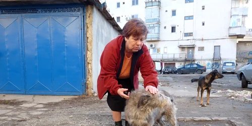 Femeia se bucură că unul dintre câinii otrăviţi a putut fi salvat