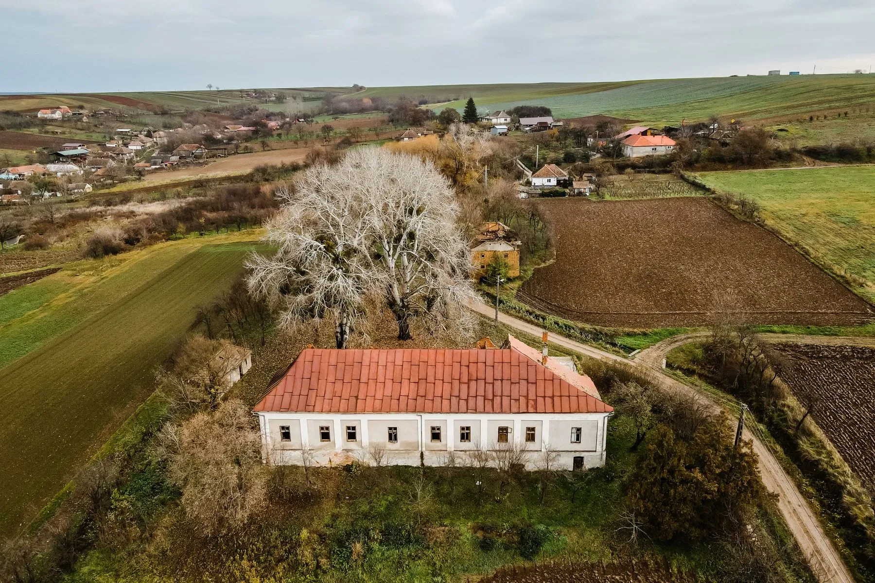 Conacul din Bihor unde a fost ascunsă Coroana Ungariei, scos la vânzare. Domeniul de 6.635 mp, mai ieftin decât un apartament din Oradea