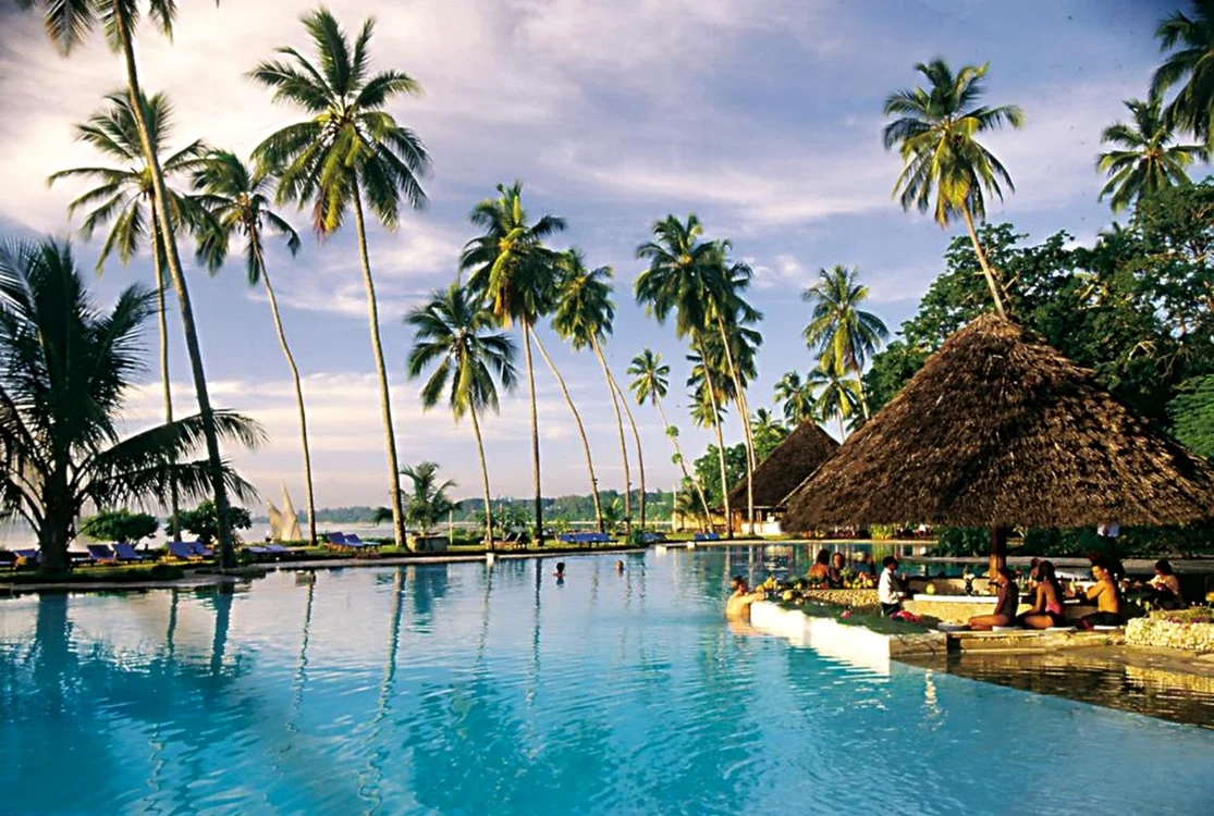 Imagine cu palmieri din Zanzibar