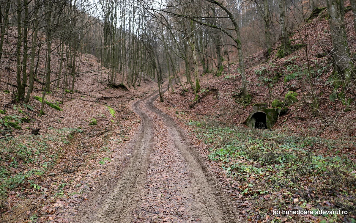 Drumul spre Dealul Muncelu, pe lngă Mina Zdraholț. Foto: Daniel Guță