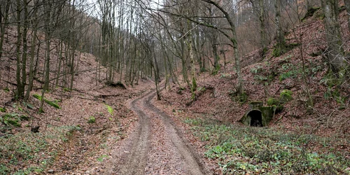 Ruda Brad, Ținutul Aurului  Foto Daniel Guță (6) JPG