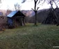 Tinutul Momarlanilor Foto Daniel Guță ADEVĂRUL (19) jpg