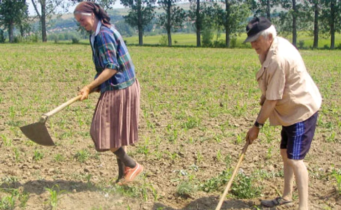 În locul culturilor agricole vor apărea ierburi de stepă