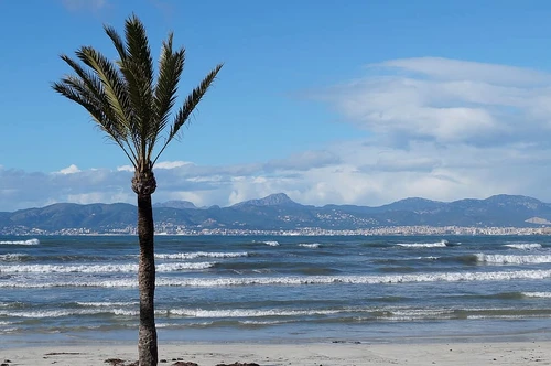 03 01 sejur palma de mallorca 2 jpg
