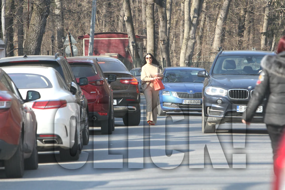 ioana și ilie nastase paparazzi 1 JPG