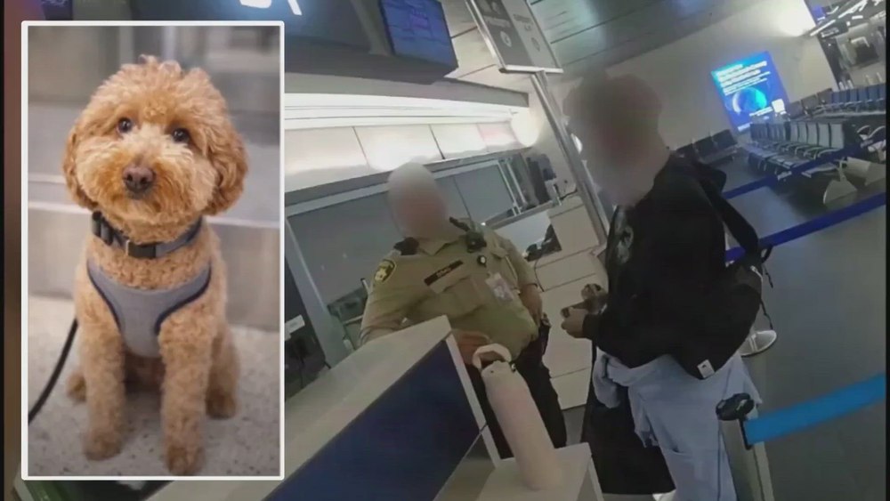 Gest revoltător pe un aeroport din Las Vegas: o femeie și-a abandonat câinele la ghișeu după ce i s-a refuzat îmbarcarea