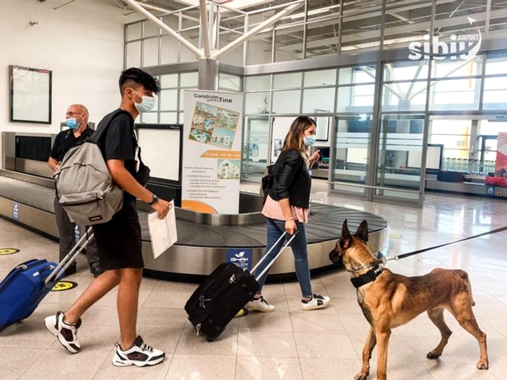
    Câinii poliţişti vor fi folosiţi, până la mijlocul lui septembrie, doar pe Aeroportul din Sibiu   