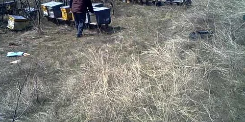 5e86e1695163ec427167d1c8 jpg