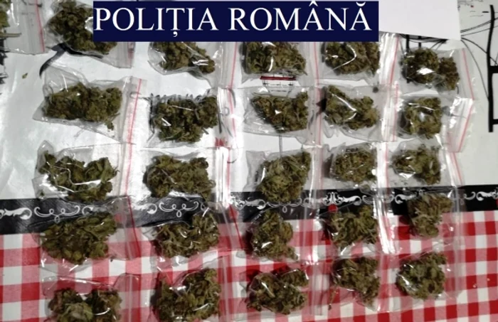 Drogurile au fost găsite în cadrul percheziţiilor domiciliare FOTO: IPJ Constanţa