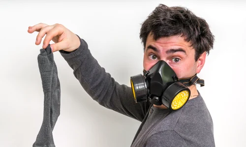 shutterstock 639997978 jpg