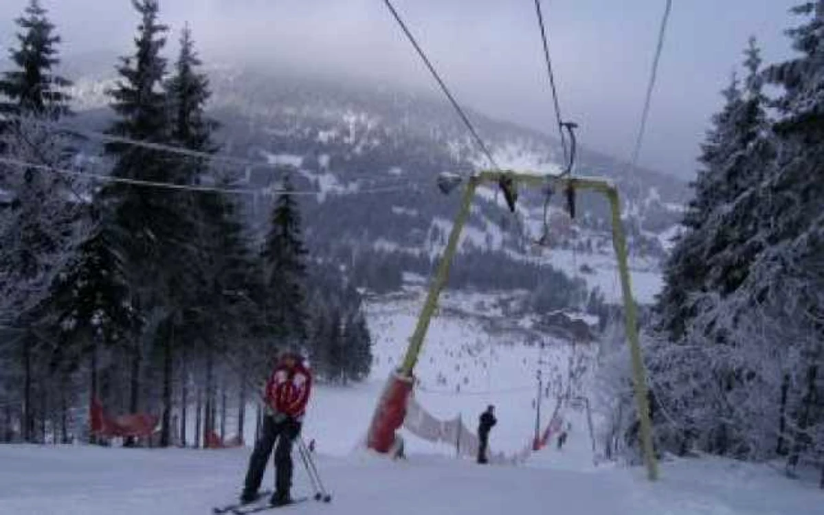 Braşov: Pădurile din Poiană vor fi tăiate pentru a face loc pârtiilor