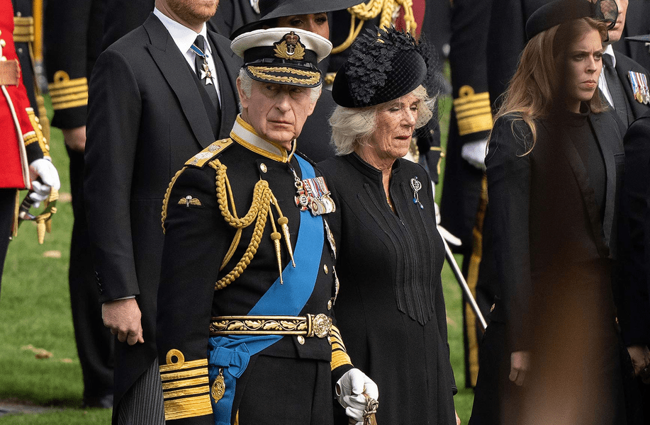 Amendă de 100 de lire sterline pentru bărbatul care a aruncat cu un ou spre regele Charles al III-lea