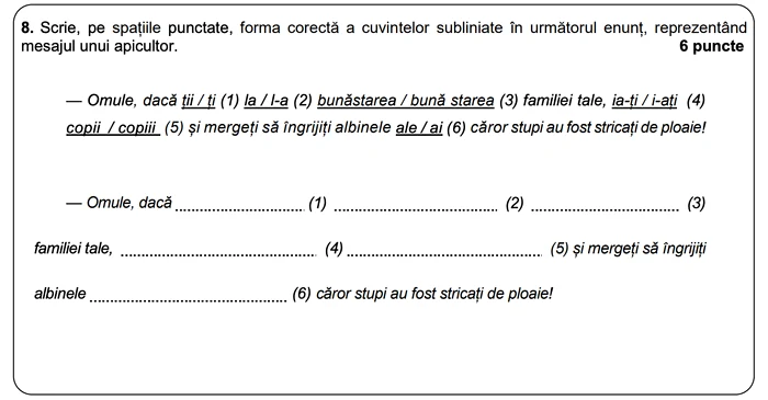 Subiectul I B – 8 Simulare Limba română Evaluarea Națională. FOTO: Ministerul Educației