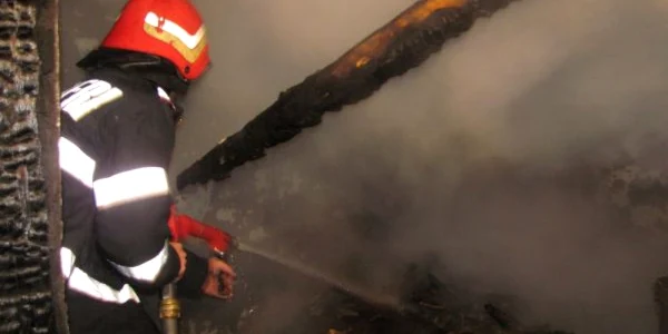 incendiu la un adapost de animale mehedinti FOTO Corina Macavei 