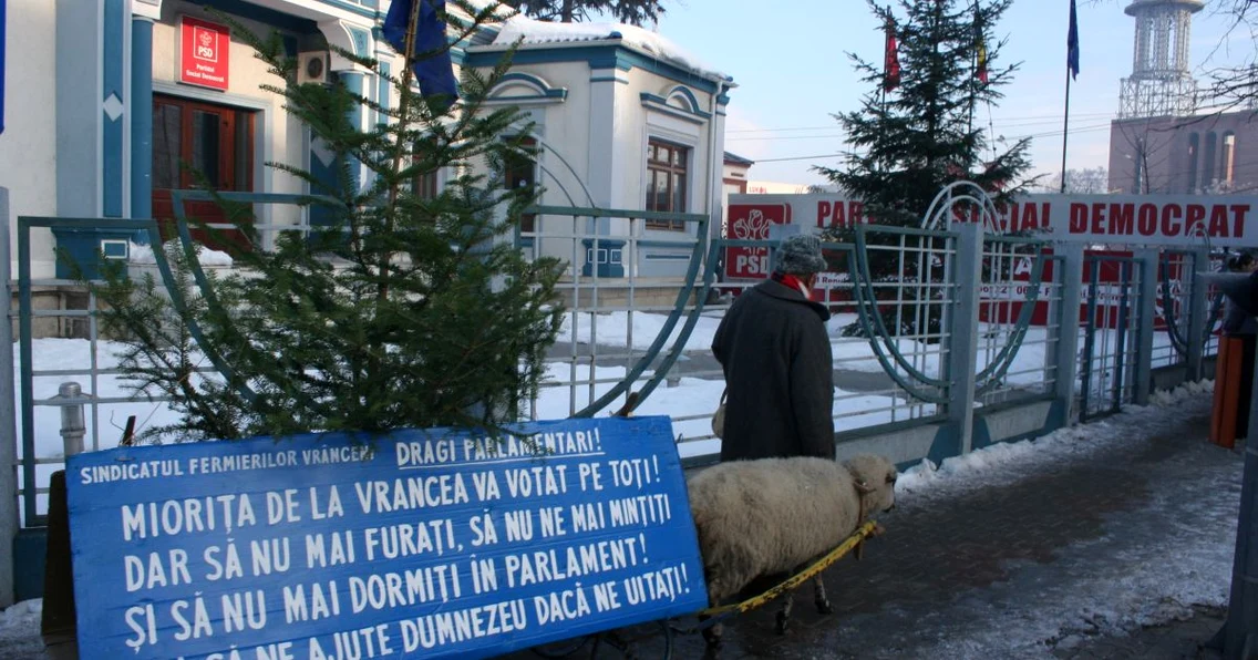 focsani taran