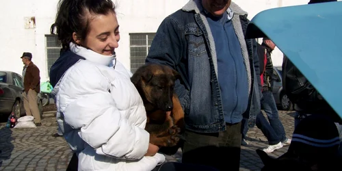 Animalele "de rasă" sunt foarte ieftine la Obor