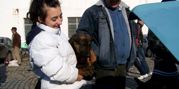 Animalele "de rasă" sunt foarte ieftine la Obor