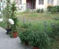 spatii 5