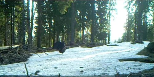 5ae84519df52022f75748576 jpg