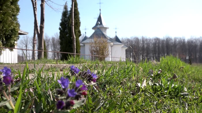 manastire maica suceava