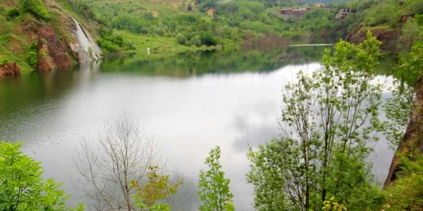 teliuc