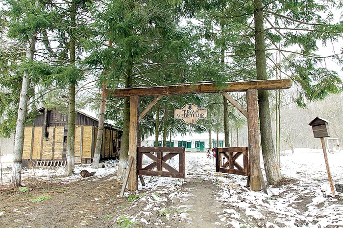 Cele 12 vedete trebuie să transforme ferma abandonată într-una funcţională