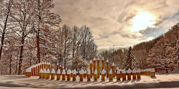 foro administratia sarmizegetusa regia