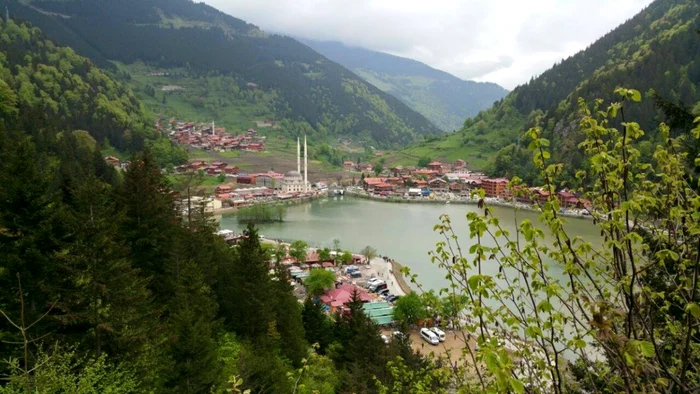 11238969 1068240816536851 9198806999030573305 o jpeg