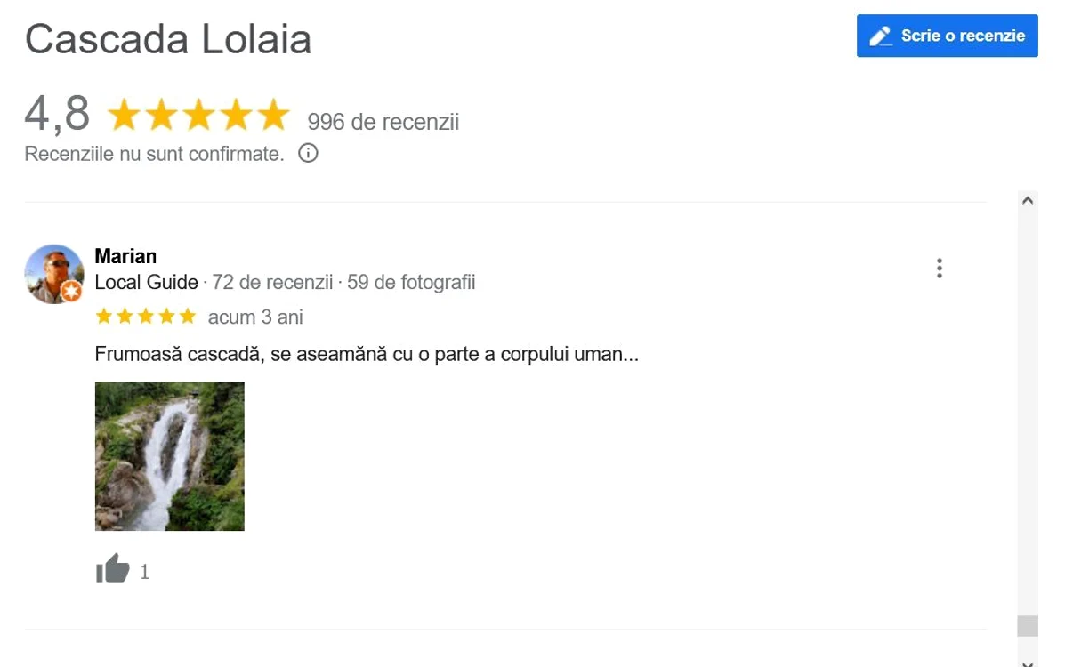 Una dintre recenziile turiștilor. Sursa: Google. 