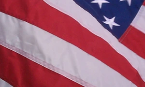 America celor două viziuni jpeg