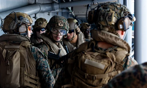 puscasi marini americani/FOTO:X